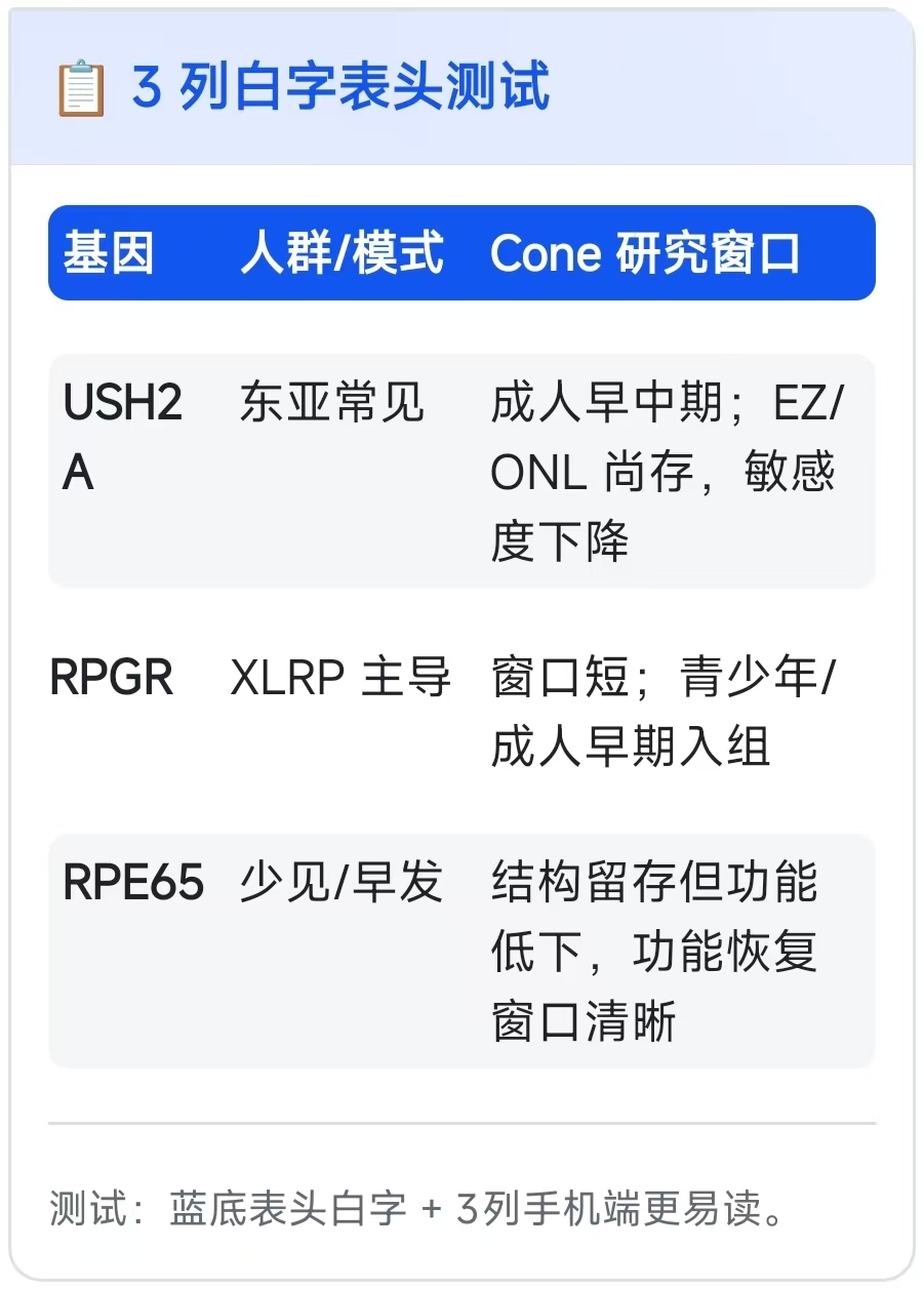 三列白字表头测试截图